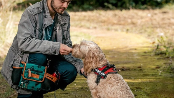 Dog First Aid