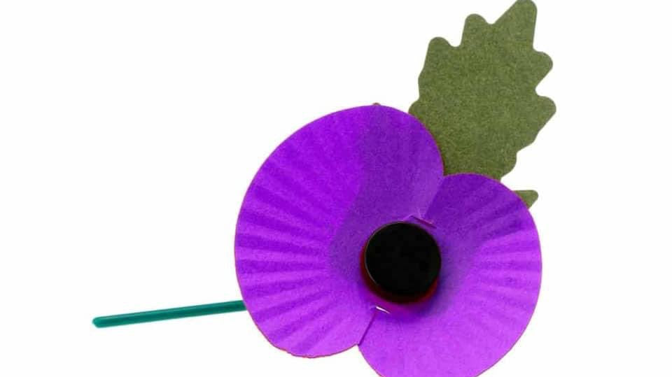 Animals in War and Conflict – They had no Choice