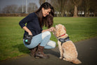 The Treat Bag - Black  Barking Bags