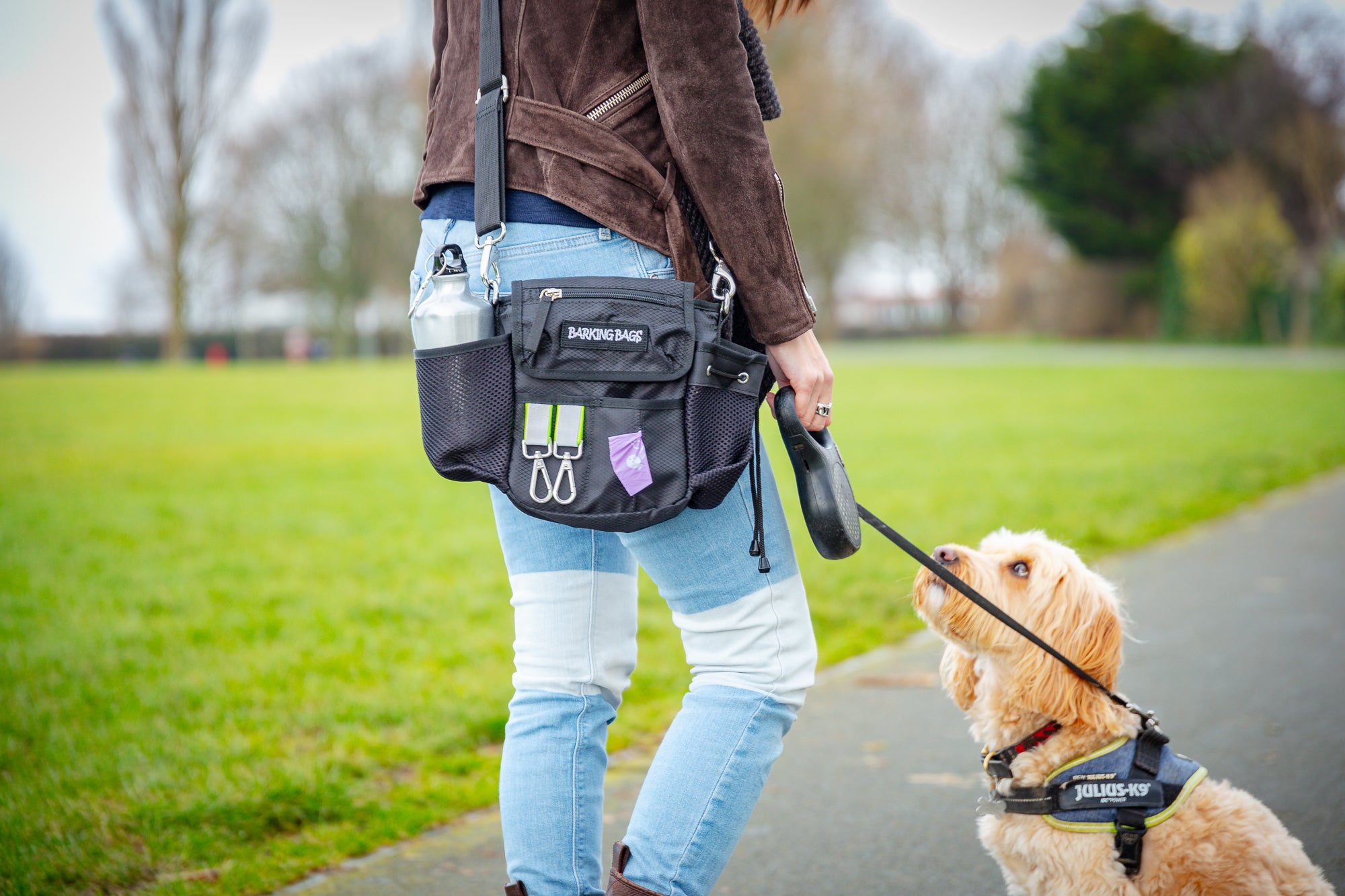 Black dog walking bag